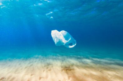 plastic in the ocean