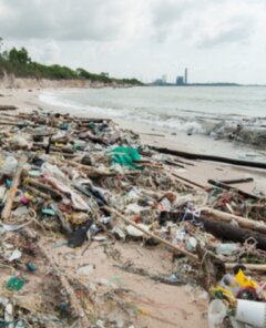 Living more sustainably