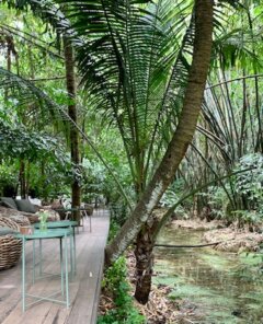 March 21 International Day of Forests